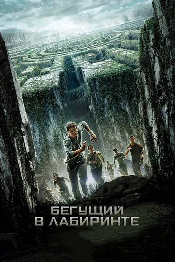 Бегущий в лабиринте (2014) — обложка
