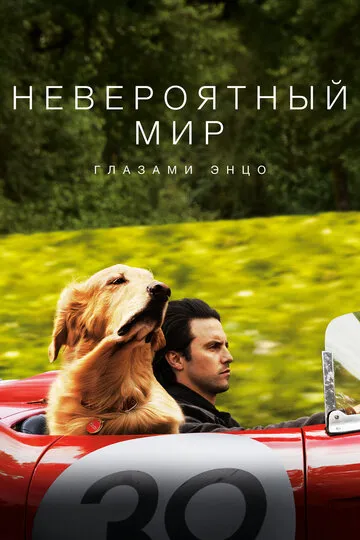 Невероятный мир глазами Энцо — обложка