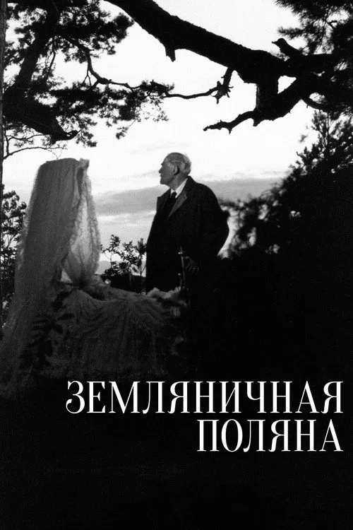 Земляничная поляна — обложка