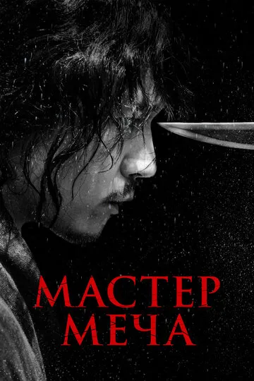 Мастер меча (2020) — обложка