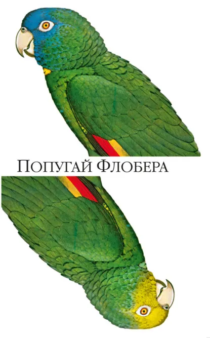 Попугай Флобера (1984) — обложка
